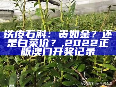 铁皮石斛：贵如金？还是白菜价？, 2022正版澳门开奖记录