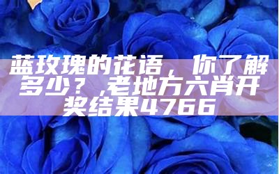 蓝玫瑰的寓意是什么, 香港全年资料内部公开2021年