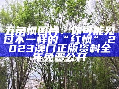 五角枫图片：你可能见过不一样的“红枫”, 2023澳门正版资料全年免费公开