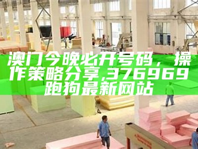 2024澳门天天开好彩大全46期,效能解答解释落实_高级版63.456, 新一代跑狗出版社论坛5043