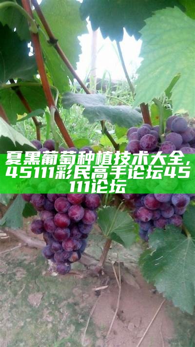 夏黑葡萄种植技术大全, 45111彩民高手论坛45111论坛