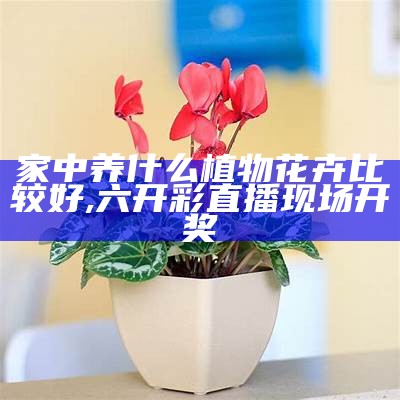 家中养什么植物花卉比较好, 六开彩直播现场开奖