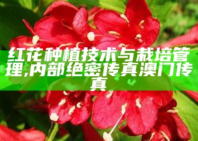 红花种植技术与栽培管理, 内部绝密传真澳门传真