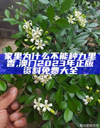 家里为什么不能种九里香, 290123论坛