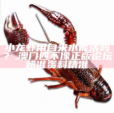 小龙虾用自来水能活吗？, 澳门四不像正版论坛超准资料精准