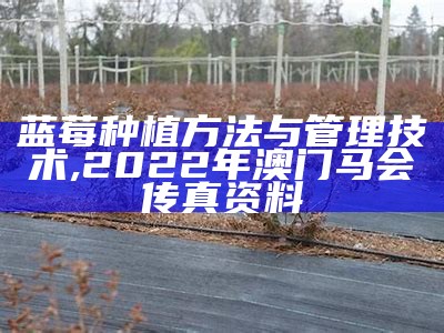 蓝莓种植方法与管理技术, 2022年澳门马会传真资料