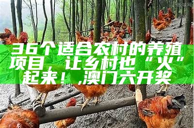 适合云南农村创业的好项目, 澳门开奖结果开奖记录表