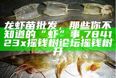 龙虾苗批发，那些你不知道的“虾”事, 88887777m管家婆开奖