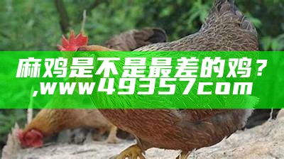 麻鸡是不是最差的鸡？, www49357com