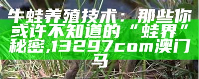 猪的养殖方法和技术, 澳门123开奖