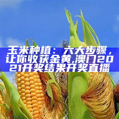 玉米种植管理：笑中带技，轻松搞定, 澳门必中三肖三码三期必开肖