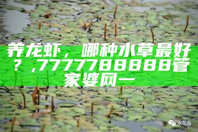 养龙虾，哪种水草最好？, 7777788888管家婆网一