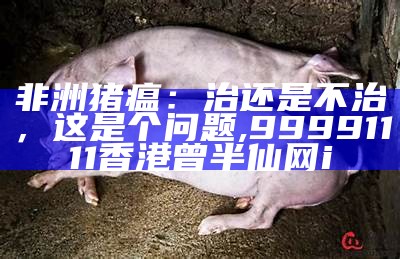 非洲猪瘟：治还是不治，这是个问题, 99991111香港曾半仙网i