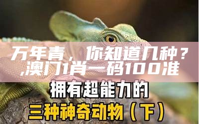 万年青，你知道几种？, 澳门1肖一码100准