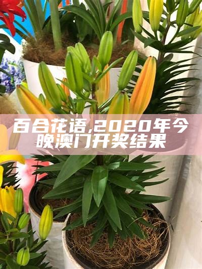 百合花语是什么？, 澳门开奖大全资料开奖结果