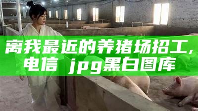 离我最近的养猪场招工, 电信→jpg黑白图库