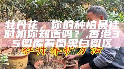 牡丹花，你的种植最佳时机你知道吗？, 澳门正版资料免费更新澳门