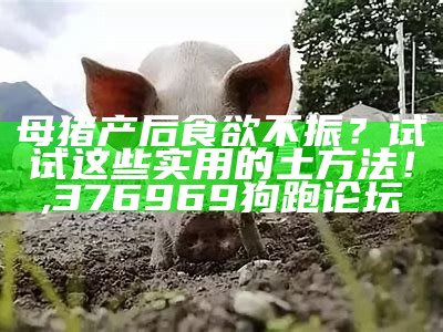 母猪产后食欲不振？试试这些实用的土方法！, 澳门今晚开什么号