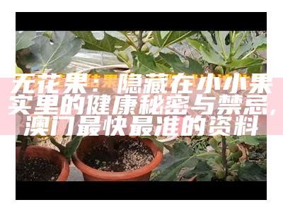 无花果的好处：你可能不知道的小秘密, 澳门必中三肖三码三期必开