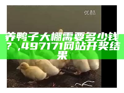 养鸭子大棚需要多少钱？, 497171网站开奖结果