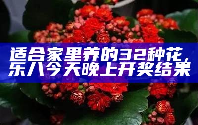 适合家里养的32种花, 乐八今天晚上开奖结果