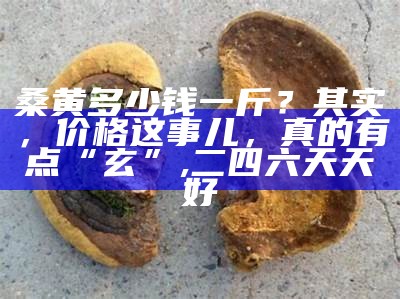 桑黄多少钱一斤？其实，价格这事儿，真的有点“玄”, 二四六天天好