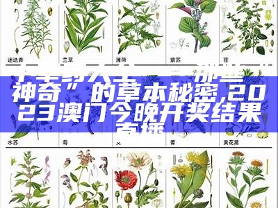 中草药大全——那些“神奇”的草本秘密, 2023澳门今晚开奖结果直播