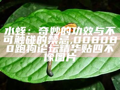 水蛭：奇妙的功效与不可触碰的禁忌, 008080跑狗论坛精华贴四不像图片