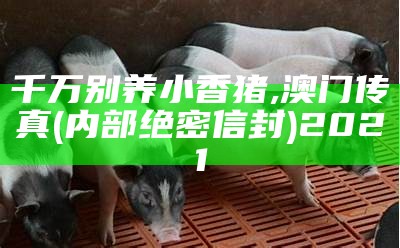 千万别养小香猪, 澳门传真(内部绝密信封)2021