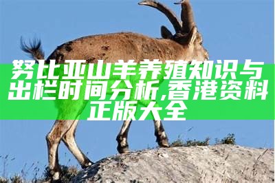 努比亚山羊养殖知识与出栏时间分析, 香港资料正版大全