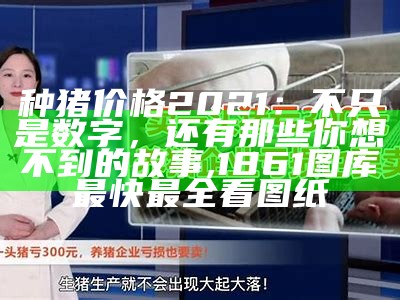 种猪价格2021：不只是数字，还有那些你想不到的故事, 1861图库最快最全看图纸