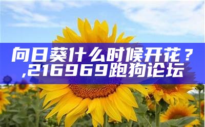 向日葵什么时候开花？, 奥门马今晚开奖结果