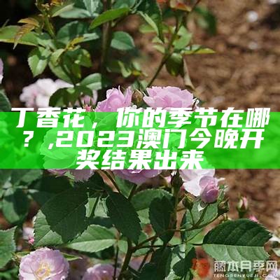 丁香花，你的季节在哪？, 2023澳门今晚开奖结果出来