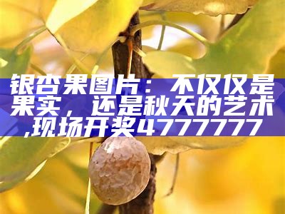 银杏果图片：不仅仅是果实，还是秋天的艺术, 现场开奖4777777