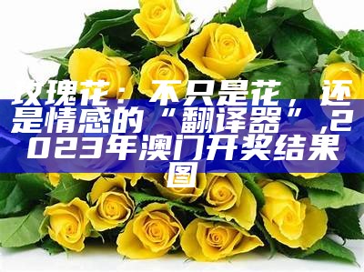 红玫瑰花语, 今晚澳门码