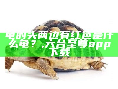 龟的头两边有红色是什么龟？, 六台至尊app下载