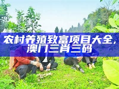 农村养殖致富项目大全, 澳门三肖三码