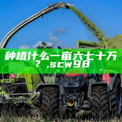 种植什么一亩六七十万？, scw98