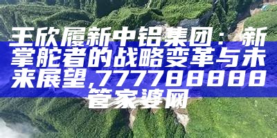 王欣履新中铝集团：新掌舵者的战略变革与未来展望, 777788888管家婆网