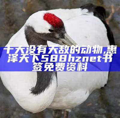 十大没有天敌的动物, 惠泽天下588hznet书签免费资料