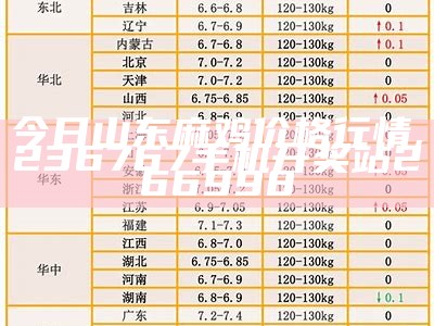 今日山东麻鸡价格行情, 2023香港正版资料免费大全2023年