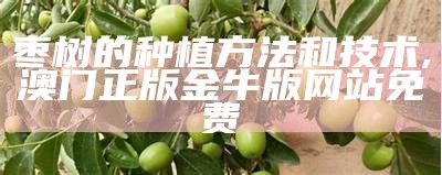 枣树的种植方法和技术, 澳门马会传真内部资料103