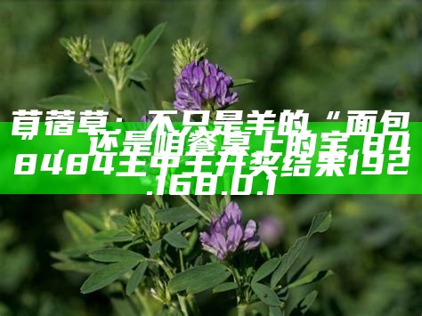 苜蓿草：不只是草，还是健康守护神！, 481111横财超级网站