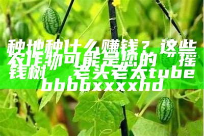 云中仙 第3页