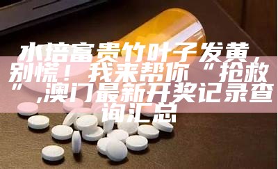 水培富贵竹叶子发黄，别慌！我来帮你“抢救”, 澳门最新开奖记录查询汇总