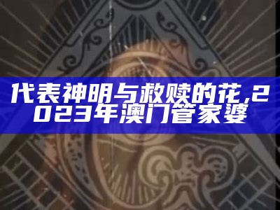 代表神明救赎的花, 微群社区app下载安装老版本