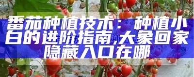 云中漫步 第5页