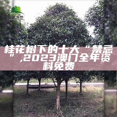 桂花树下的十大“禁忌”, 2023澳门全年资料免费