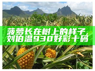 菠萝长在树上的样子, 刘伯温930好彩十码