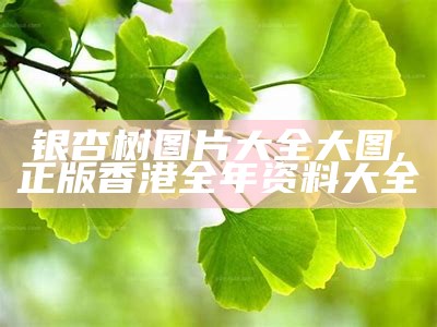 银杏树图片：那些唯美的瞬间, 一切选择都在新一代跑狗论坛网